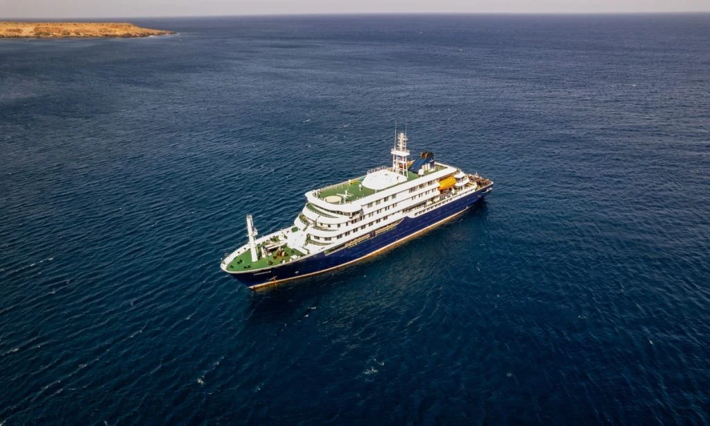 OMS DESCARTA CENÁRIO SEMELHANTE À COVID-19 APÓS SURTO DE HANTAVÍRUS EM NAVIO DE CRUZEIRO