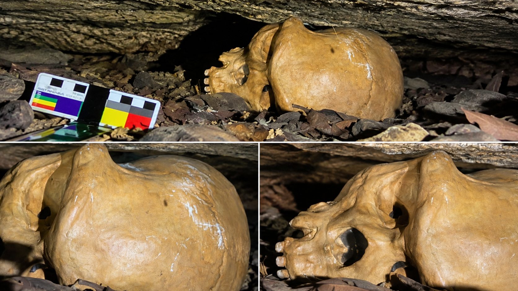 SUPOSTO CRÂNIO DE NEANDERTAL ENCONTRADO NO PARÁ PODE MUDAR A HISTÓRIA DA HUMANIDADE — SE FOR CONFIRMADO