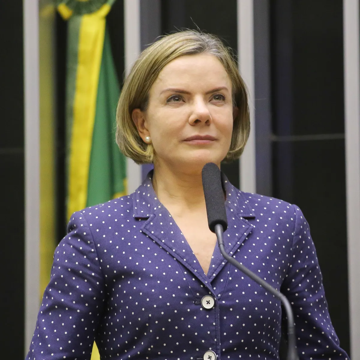 GLEISI HOFFMANN PERDE DISPUTA PELO SENADO NO PARANÁ E FICA EM QUARTO LUGAR